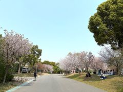 -自然谷恐龙园