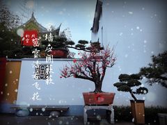 -龙华寺