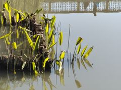 -三林塘老街