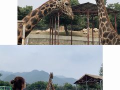 -西安秦岭野生动物园