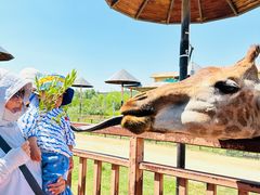 -鄂尔多斯野生动物园