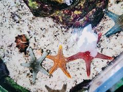 -嘉兴海底世界