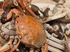 -加勒比阳光环球美食自助(凯德店)