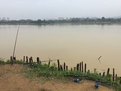 -鹤之洲湿地公园