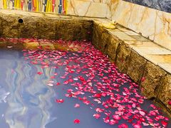 -北京美神宫艺术主题温泉酒店