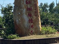 -东寨港红树林旅游区