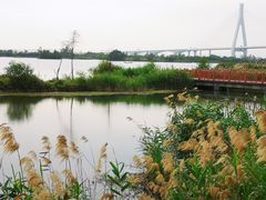 -芒洲湿地公园