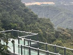-黄埔油麻山森林公园
