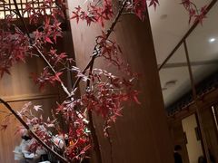 -揽季锅物会.福建黄鱼.海鲜姿造(五四路店)