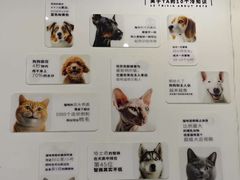 -萌小它宠物健康管理中心(怡海家园店)