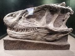 -自贡恐龙博物馆