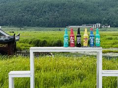 -腾冲北海湿地