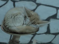 -海合安武汉极地海洋公园