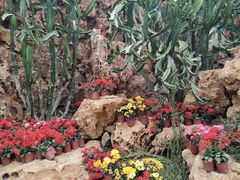 -南通洲际绿博园