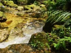 -飞霞风景名胜区