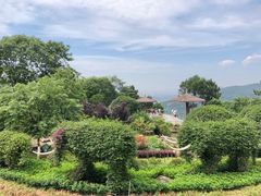 -铁山坪森林公园