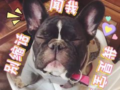 -小时光咖啡馆(北锣鼓巷店)