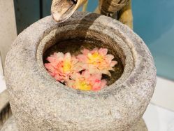 -三只熊皮肤管理中心