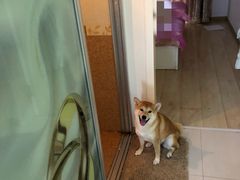 -宠爱国际动物医院· 猫科· 外科·中兽医(长白店)