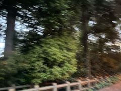 -汉拿树木园
