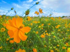 -歌斐颂巧克力小镇