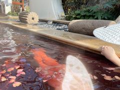 -苏州湾·王焰温泉
