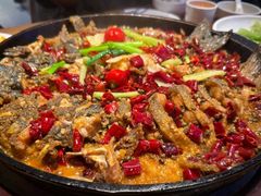 -老板恋上鱼(恒隆广场店)