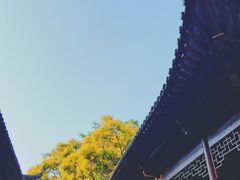 -深圳国际园林花卉博览园