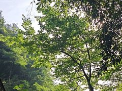 -石台牯牛降景区