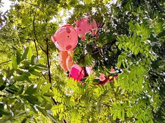 -人民公园(罗湖区)