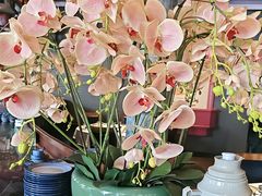 -八府香鸭·啫啫煲(华山路店)