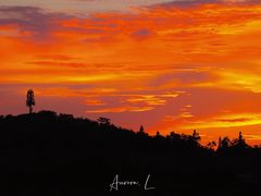 -亮河湾山庄