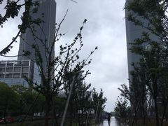 -云锦路(地铁站)