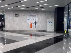 -谢列梅捷沃国际机场