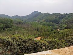 -黄埔油麻山森林公园