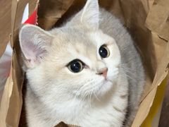 -佳雯宠物医院·皮肤科·内外科(春晓路分院)