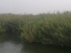 -白洋淀景区