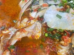 -全乐鱼馆·淳牌有机鱼直营店