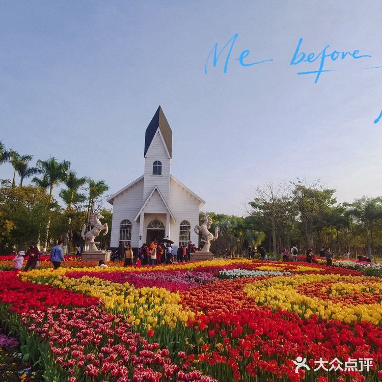 🌷园博苑•荷兰园郁金香•异域风情🌷