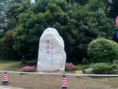 -桤木河湿地公园