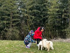 -田园东方蜜桃村的田野营地
