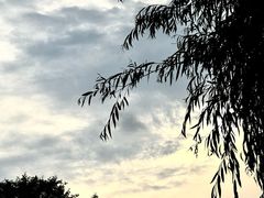 -望溪公园