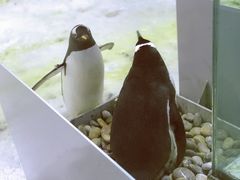 -大连圣亚海洋世界