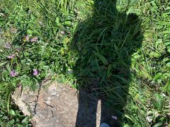 -白草畔自然风景区