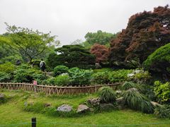 -西湖外事游船(花港观鱼码头)