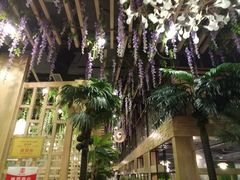 -四季合味椰子鸡(南山大冲店)