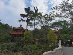 -深圳仙湖植物园