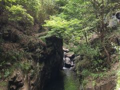 -大奇山国家森林公园