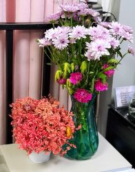 -7嘉nail eyelash·美甲美睫