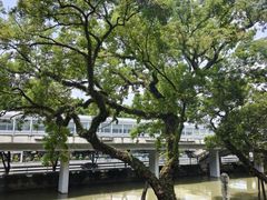 -广东胜利宾馆西关粤中餐厅